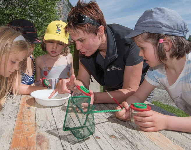 Research and discover with magnifying glasses and fishing nets