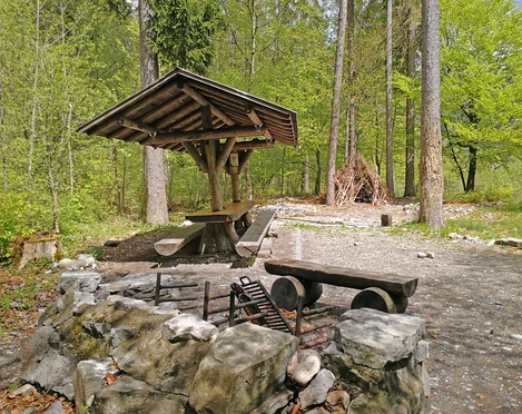 Foyer dans la forêt avec bois de chauffage