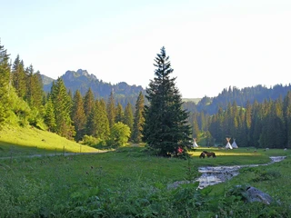 Fireplace directly at the mountain stream