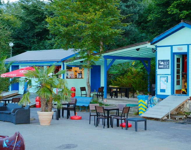 faulensee-sommer-blue-turtle