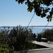 Picknickplatz Sehbrücke Mardorf Am Picknickplatz bei der Sehbrücke Mardorf genießen Besucher auf einem Holzsteg den Blick auf das glitzernde Wasser des Steinhuder Meers, umrahmt von Schilf und Bäumen, während Fahrräder angelehnt sind.
