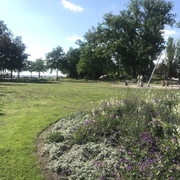 Park mit Blick zum Meer Weitläufige grüne Wiese mit Blumenbeet im Vordergrund, Bäume und Meer im Hintergrund bei klarem Himmel.