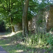 stadmauer-stephanberg Stadtmauer mit Bewuchs und angrenzendem Baumbestand