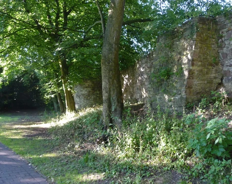 stadmauer-stephanberg Stadtmauer mit Bewuchs und angrenzendem Baumbestand
