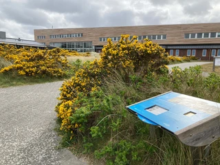 Alfred-Wegener-Institut Rückansicht Das Bild zeigt die Rückansicht des Alfred-Wegener-Instituts. Im Vordergrund blühen gelbe Sträucher.