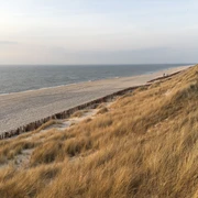 Weststrand im Frühling