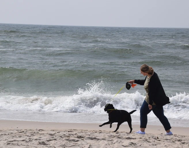 Spaß haben am Strand