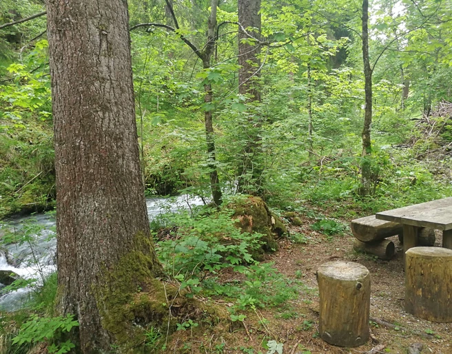 «Grabenweidli» fireplace with seating directly by the stream