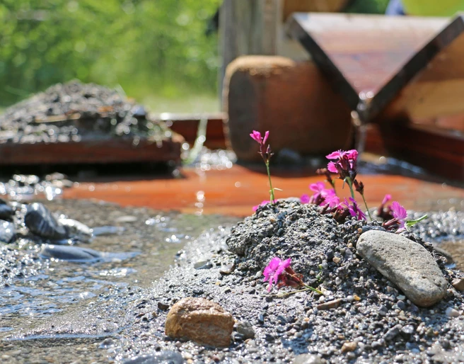 Mit Schlamm und Steinen wird gestaut