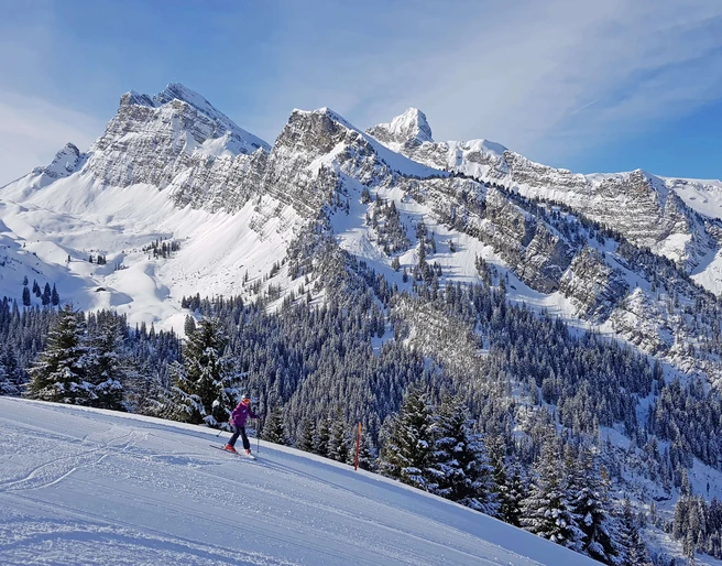 View of the snow-covered mountains