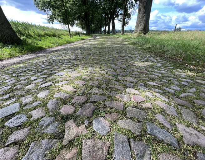 Historische Straße Eine gepflasterte Straße, gesäumt von Bäumen und umgeben von grünen Feldern unter einem blauen Himmel.