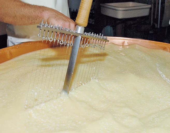 The cheesemaker cuts the «Bruch» with the harp
