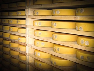 Luck in the full cheese store