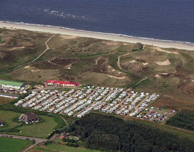 Wald am Campingplatz