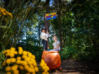 Sylter Sagenwald in Wenningstedt