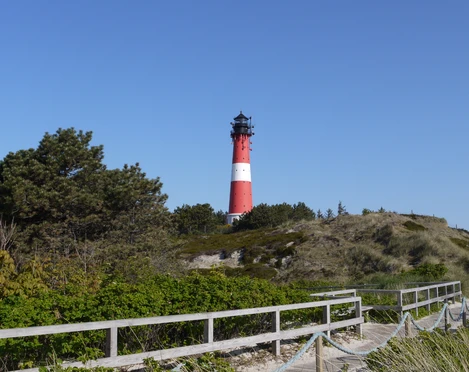 Wäldchen am Leuchtturm