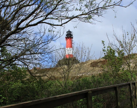Blick auf den Hörnumer Leuchtturm vom Wäldchen