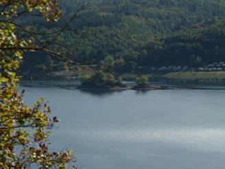 Liebesinsel bei Bringhausen