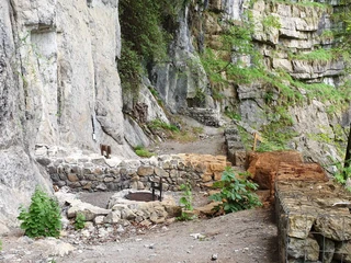 wilderswil-ruine-rothenfluh-braetelstelle-fruehling-wanderweg