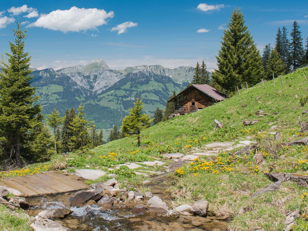 Sur l'alpage de Tschipparellen avec vue sur la chaîne du Stockhorn Bergweg führt über einen kleinen Steg, im Hintergrund Berge der Stockhornkette und eine HolzhütteMountain path leads over a small footbridge, in the background mountains of the Stockhorn range and a wooden hutUn chemin de montagne mène sur une petite passerelle, avec en arrière-plan les montagnes de la chaîne du Stockhorn et une cabane en bois.