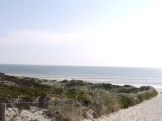 Möwennest