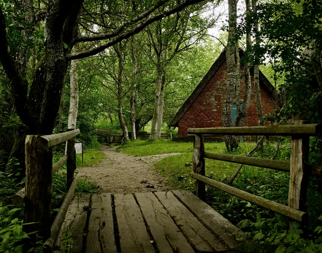 Naturpfad Vogelkoje Kampen