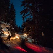outdoor-interlaken-nachtschlitteln-nacht-fackeln-schnee-schlitteln