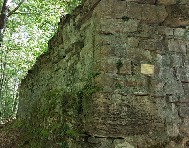 ringgenberg-schadburg-ruine-wald-sommer-wandern