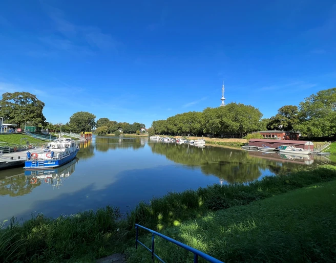 Hafen Nienburg Eine ruhige Flussmündung mit festgemachten Booten und umliegendem saftigem Grün unter blauem Himmel.