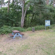 Picknickplatz Poggenecke Ecke am Vogelherd Mardorf Picknickplatz im Grünen nahe Mardorf, umgeben von Bäumen, mit Tisch-Bank-Kombination und Infotafel.
