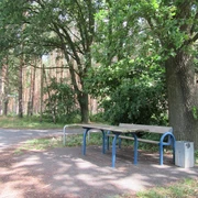 Picknickplatz mit Tisch und Bänken im Schatten großer Bäume an einer ruhigen Landstraße in Mardorf.