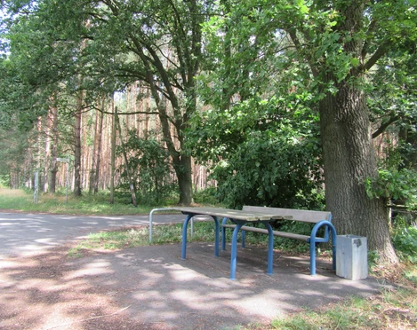 Picknickplatz mit Tisch und Bänken im Schatten großer Bäume an einer ruhigen Landstraße in Mardorf.