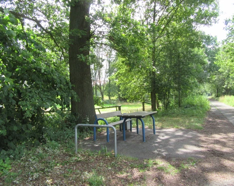 Picknickplatz Weißdornweg Ecke Hegebusch Mardorf Picknicktisch mit Bank unter einem schattenspendenden Baum, umgeben von grüner Natur am Wegrand.