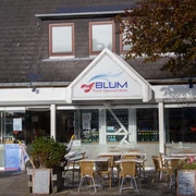 Fisch Blum