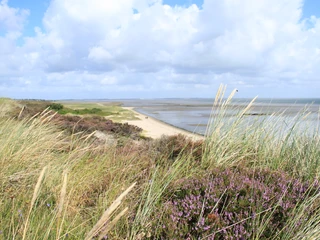 Strand an der Braderuper Heide