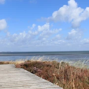 Holzweg in der Braderuper Heide