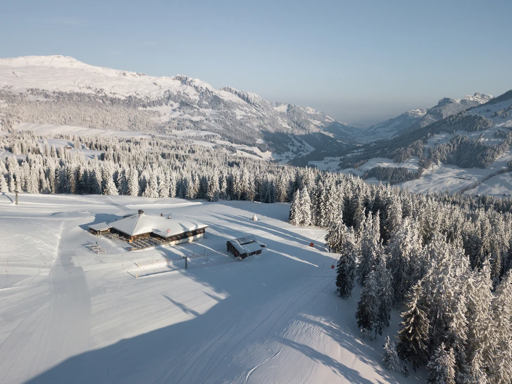 schwarzenegg (1).jpg