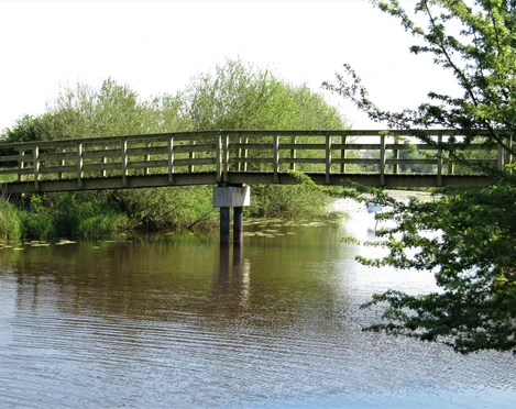 Radler Brücke in Holtgast Die Radler Brücke in Holtgast spannt sich elegant über einen ruhigen Fluss, umgeben von üppigem Grün.