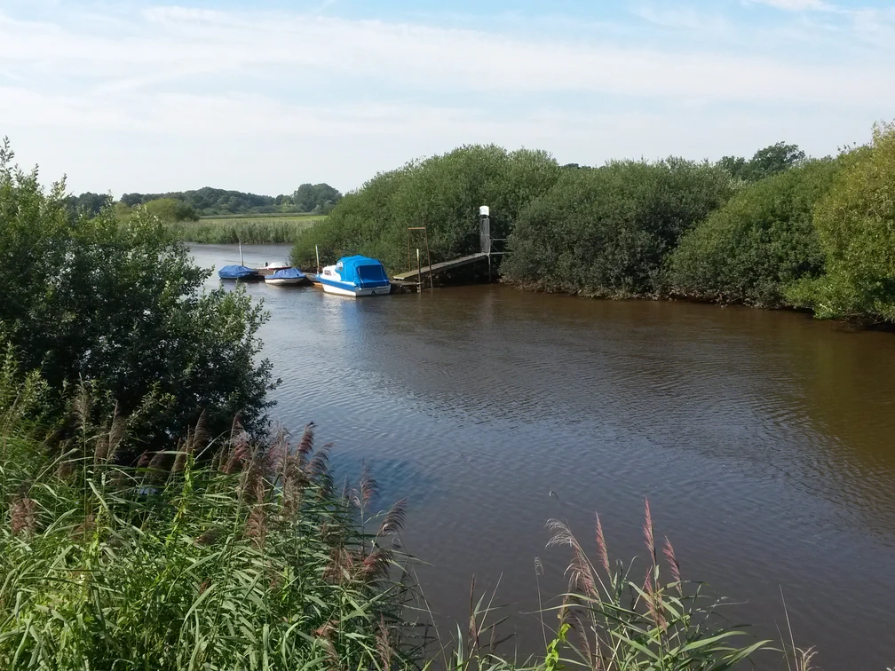 Anleger am Nordloher Tief Das Bild zeigt den Anleger am Nordloher Tief, umrahmt von dichtem Grün, mit einem kleinen Boot vor Anker.