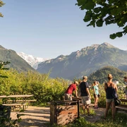interlaken-walking-tours-aussicht-herbst