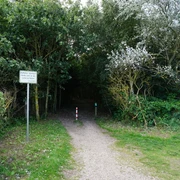 Wald am Campingplatz in Kampen