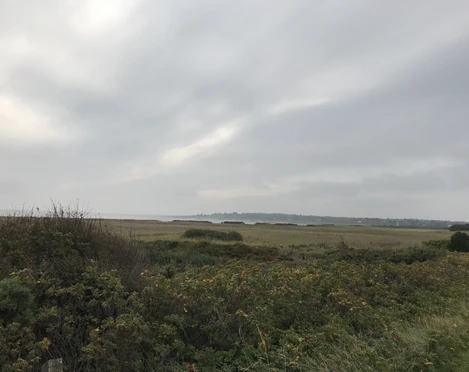 Naturschutzgebiet Nielönn