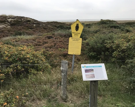 Naturschutzgebiet Nielönn