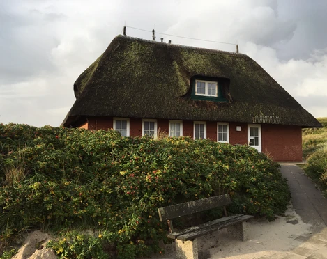 Toiletten am Strandübergang Dünensteg