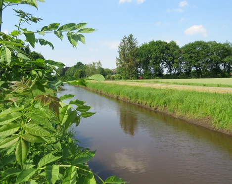 Nordlohkanal Ein idyllischer Kanal in einer ländlichen Landschaft, umgeben von saftigem Grün und klarer Luft.