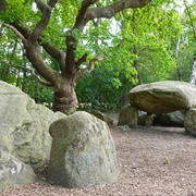 Großsteingrab Bruneforth