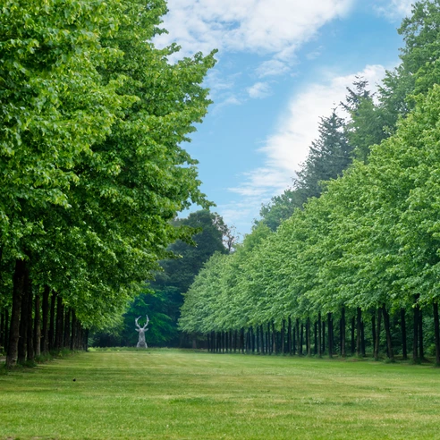 Emslandmuseum Schloss Clemenswerth, Sögel – Blick auf Platzhirsch
