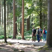 Kurfürsten-Runde, Sögel