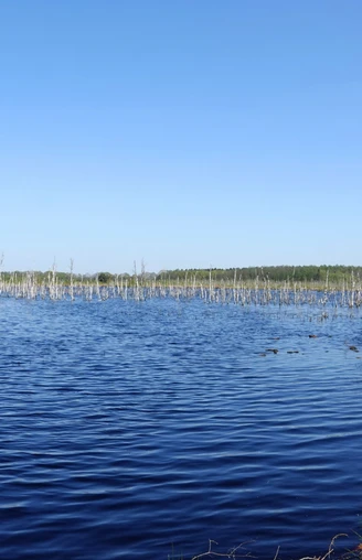 Naturschutzgebiet Theikenmeer bei Werlte
