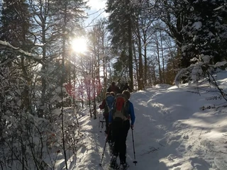schwanden-schneeschuhtour-winter-gruppe-im-wald